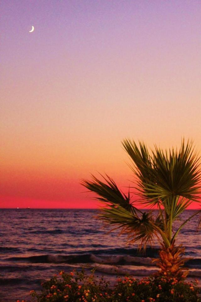 Отель Ladies Beach 3*